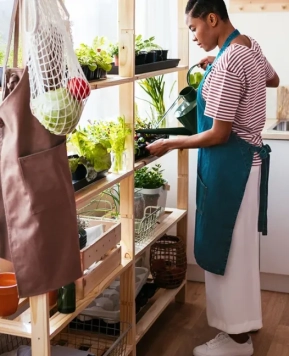 Langkah Mudah Membuat Kebun Sayuran di Dalam Rumah