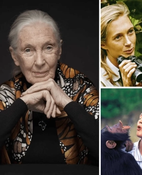 Jane Goodall: Ikon Perempuan Platinum dan Pelopor Gerakan Lingkungan